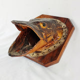 Large Antique Taxidermy Pike Head Mounted onto Oak Board