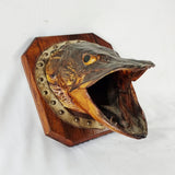 Large Antique Taxidermy Pike Head Mounted onto Oak Board