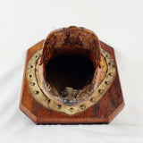 Large Antique Taxidermy Pike Head Mounted onto Oak Board