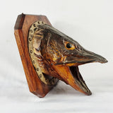 Large Antique Taxidermy Pike Head Mounted onto Oak Board