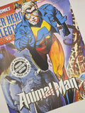 Dc Comics Superhero Collection By Eaglemoss - Animal Man