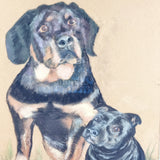 Vintage Watercolour and Charcoal Painting of Rottweiler and Staffordshire Bull Terrier.