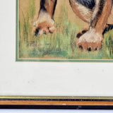 Vintage Watercolour and Charcoal Painting of Rottweiler and Staffordshire Bull Terrier.