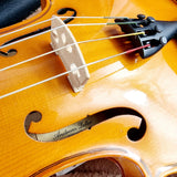 Andrea's feller violin and P and H London Bow in hard case.