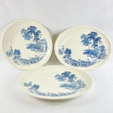 28 Piece Vintage Dinner Service Swinnertons Staffordshire England, The Ferry Pattern