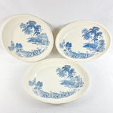 28 Piece Vintage Dinner Service Swinnertons Staffordshire England, The Ferry Pattern