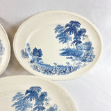 28 Piece Vintage Dinner Service Swinnertons Staffordshire England, The Ferry Pattern