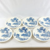 28 Piece Vintage Dinner Service Swinnertons Staffordshire England, The Ferry Pattern