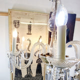 Large Antique Seven Branch Murano Glass Chandelier.