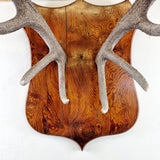 Large Pair of Antique Early 20th Century Antlers