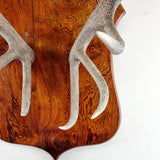 Large Pair of Antique Early 20th Century Antlers