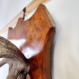 Large Pair of Antique Early 20th Century Antlers