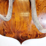 Large Pair of Antique Early 20th Century Antlers