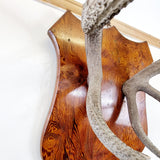 Large Pair of Antique Early 20th Century Antlers