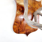 Large Pair of Antique Early 20th Century Antlers