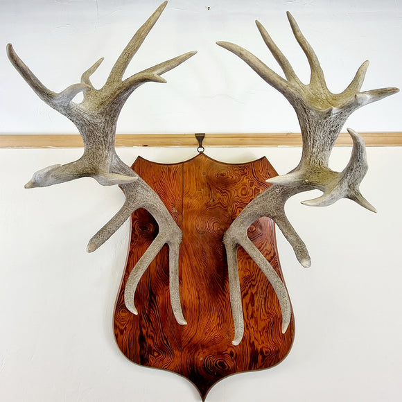 Large Pair of Antique Early 20th Century Antlers