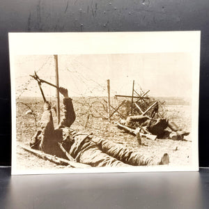 WWII Vintage Photograph of Crimea Battlefront Red Army Sappers Cutting Wire