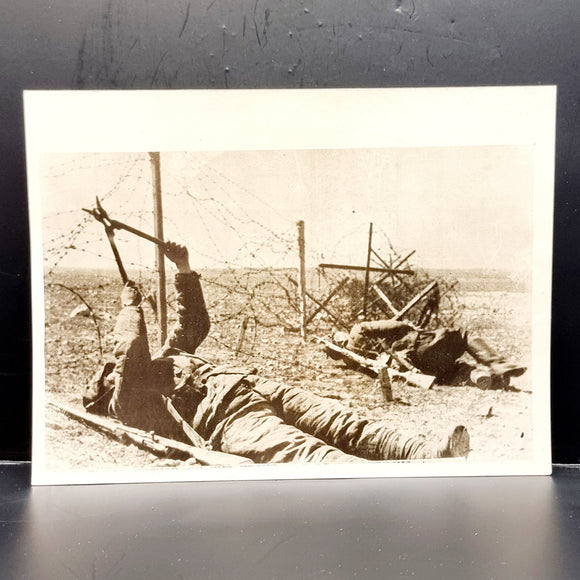 WWII Vintage Photograph of Crimea Battlefront Red Army Sappers Cutting Wire