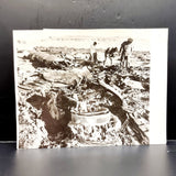 WWII Vintage Photograph of Wreckage of Heinkel III in Alexandria
