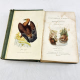 1835 The Feathered Tribes of the British Islands By Robert Mudie Two Volumes