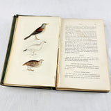 1835 The Feathered Tribes of the British Islands By Robert Mudie Two Volumes