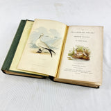 1835 The Feathered Tribes of the British Islands By Robert Mudie Two Volumes