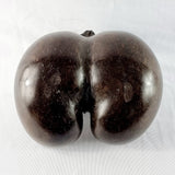 Antique Polished Coco De Mer Nut Basket
