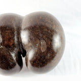 Antique Polished Coco De Mer Nut Basket