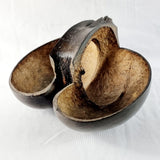 Antique Polished Coco De Mer Nut Basket