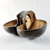 Antique Polished Coco De Mer Nut Basket