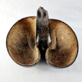 Antique Polished Coco De Mer Nut Basket