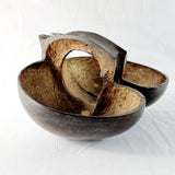Antique Polished Coco De Mer Nut Basket