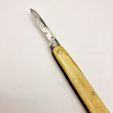 Collection of Antique and Vintage Penknives. Swiss Style Multi Blade, Miniature Penknife, etc.