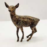 Antique Austrian Cold Painted Bronze Geschultz