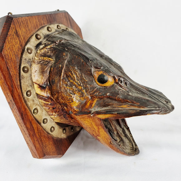 Large Antique Taxidermy Pike Head Mounted onto Oak Board