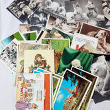 86 Vintage Novelty, Animals, and other Postcards