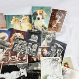 86 Vintage Novelty, Animals, and other Postcards