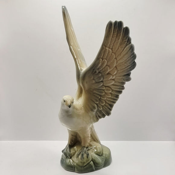 Vintage Eagle About to Take Flight by Miquel Requena Valencia Spain