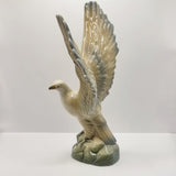 Vintage Eagle About to Take Flight by Miquel Requena Valencia Spain