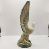 Vintage Eagle About to Take Flight by Miquel Requena Valencia Spain