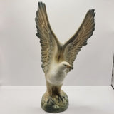 Vintage Eagle About to Take Flight by Miquel Requena Valencia Spain