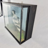 20th Century Taxidermy Pied Avocet in Antique/ Edwardian Style Case