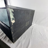 20th Century Taxidermy Snowy Owl in a Edwardian Style Case