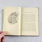 1948 The Star Born by Henry Williamson Hardback Book First Edition.