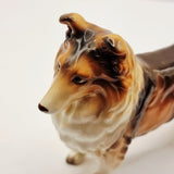 Royal Doulton Style Collie Dog Porcelain Figurine