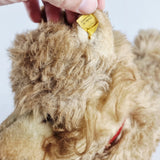 Rare Vintage 60s / 70s Steiff Terrier / Dog