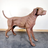 Large Cast Iron Rhodesian Ridgeback Dog Statue