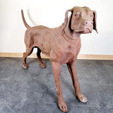 Large Cast Iron Rhodesian Ridgeback Dog Statue