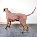 Large Cast Iron Rhodesian Ridgeback Dog Statue