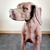 Large Cast Iron Rhodesian Ridgeback Dog Statue